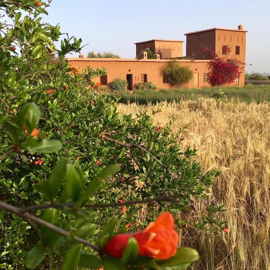 Dar Tasmayoun Aït Ourir Buitenkant foto