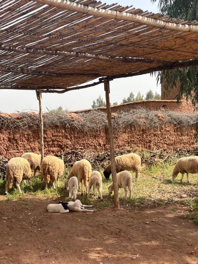 Dar Tasmayoun Aït Ourir Buitenkant foto
