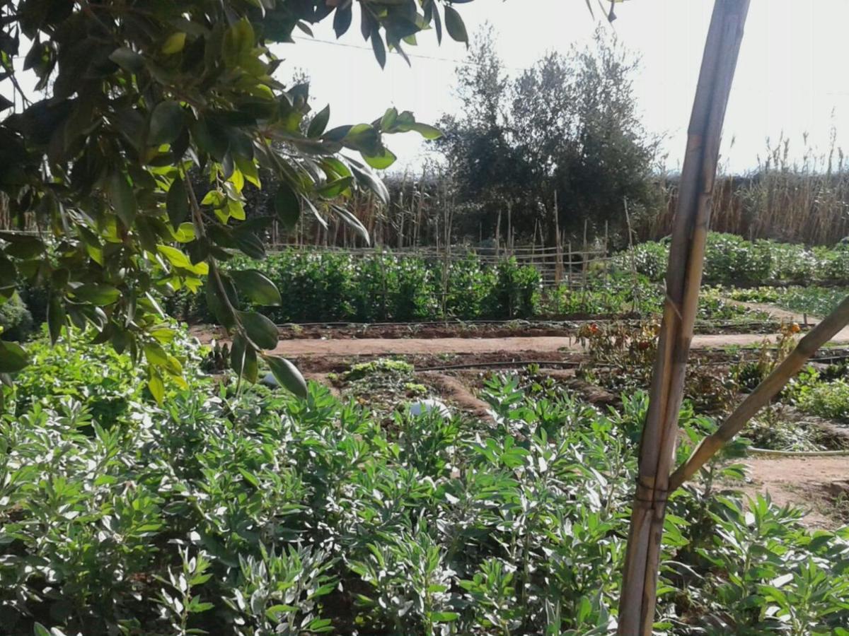 Dar Tasmayoun Aït Ourir Buitenkant foto